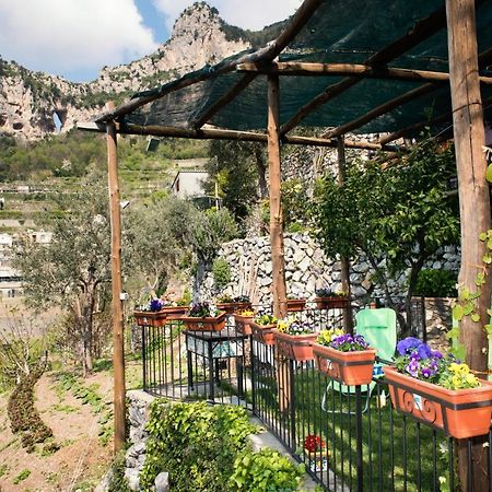 Villa Laura Amazing Breakfast,Private Outdoor Hot Tub, Positano Experience Dış mekan fotoğraf